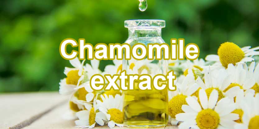 จำหน่ายขายส่งสารสกัดคาโมมายล์  Chamomile Extract