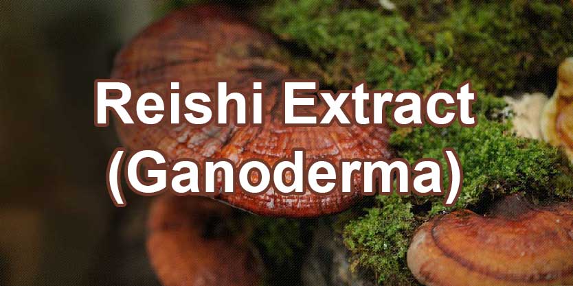 จำหน่ายขายส่งสารสกัดเห็ดหลินจือ Reishi Extract (Ganoderma)