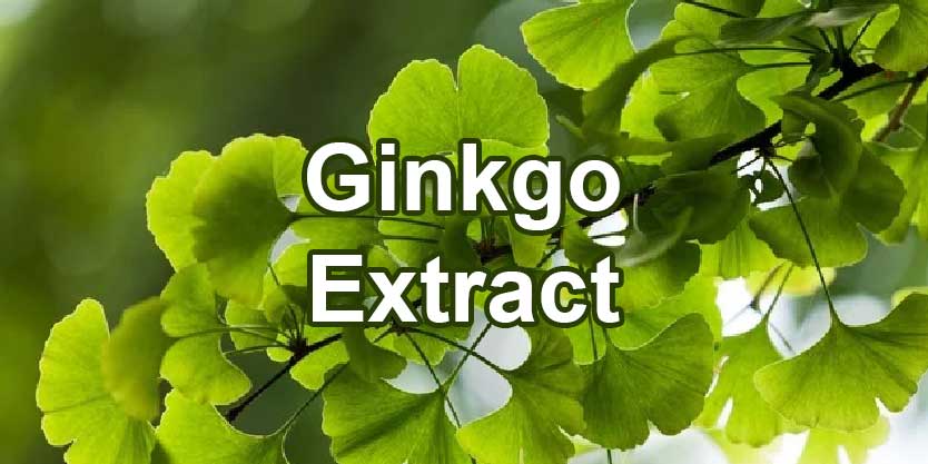 จำหน่ายขายส่งสารสกัดใบแปะก๊วย Ginkgo Extract