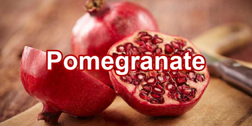 จำหน่ายขายส่งสารสกัดจากทับทิม Pomegranate Extract