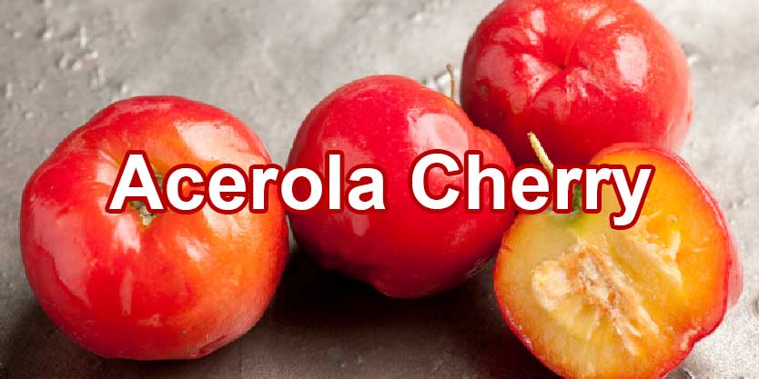 จำหน่ายขายส่งสารสกัดอะเซโรล่าเชอร์รี่ Acerola Cherry Extract