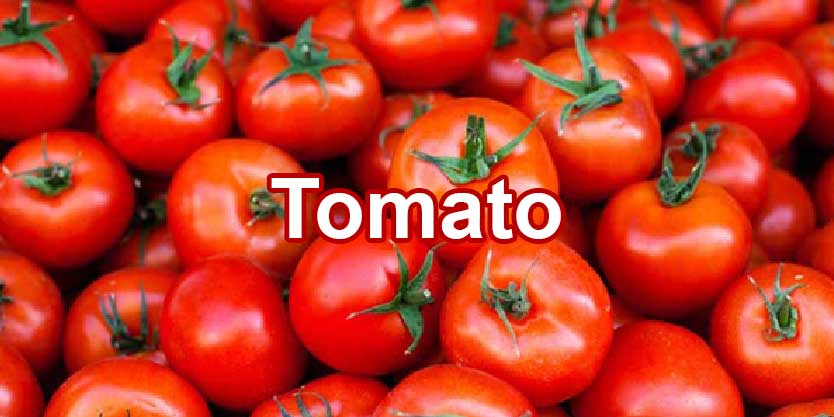 จำหน่ายขายส่งสารสกัดมะเขือเทศ Tomato Extract