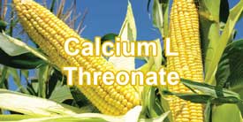 แคลเซียมแอล-ทรีโอเนตเป็นผลิตภัณฑ์ calcium ในรูปแบบที่ได้รับการพัฒนาขึ้นมาสำหรับใช้ในภาวะกระดูกพรุน